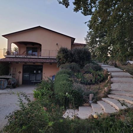 La Residenza Di Campagna Casa de hóspedes Manciano Exterior foto