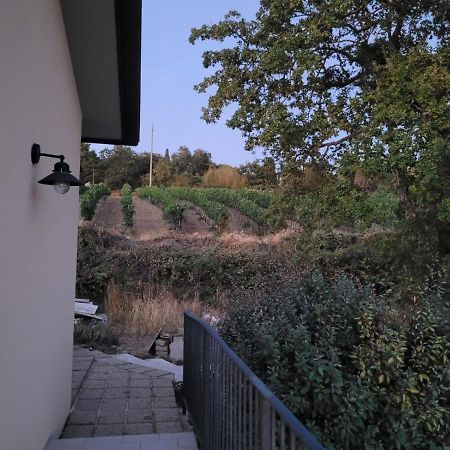 La Residenza Di Campagna Casa de hóspedes Manciano Exterior foto