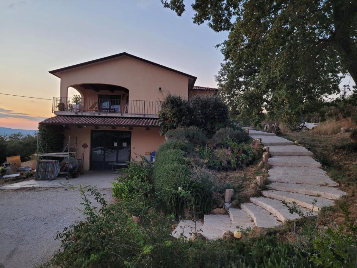 La Residenza Di Campagna Casa de hóspedes Manciano Exterior foto