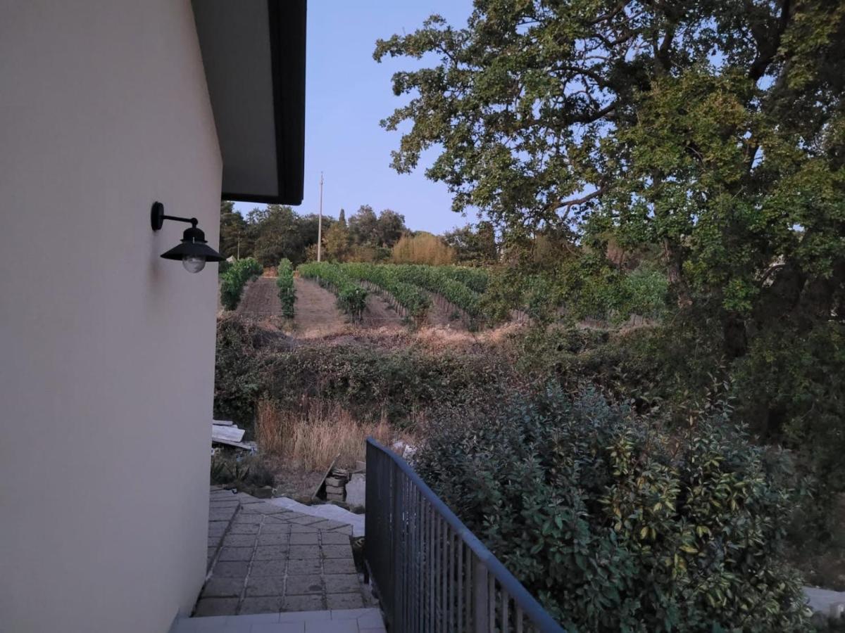 La Residenza Di Campagna Casa de hóspedes Manciano Exterior foto