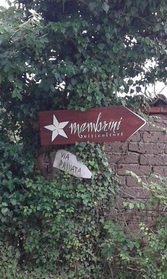 La Residenza Di Campagna Casa de hóspedes Manciano Exterior foto