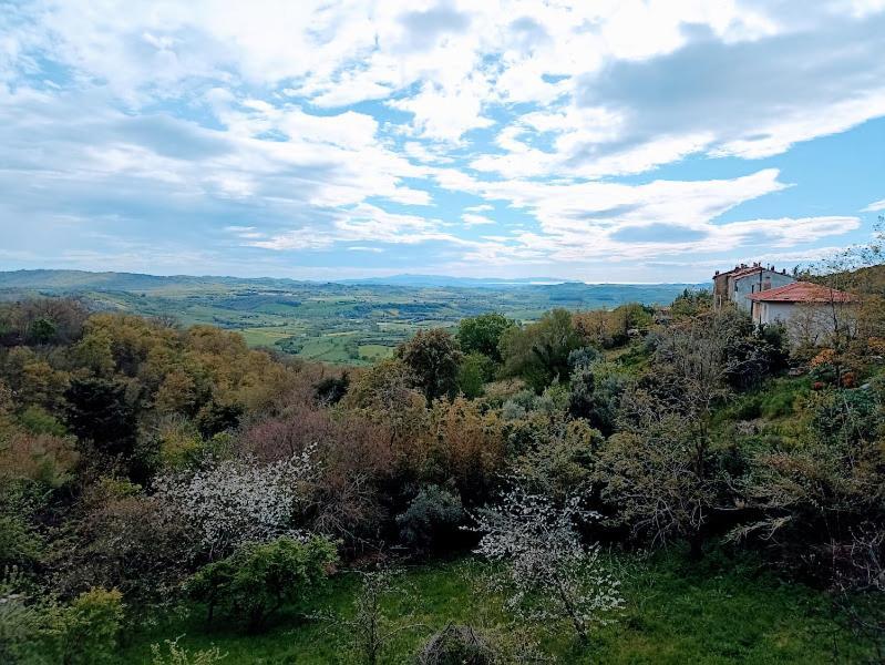La Residenza Di Campagna Casa de hóspedes Manciano Exterior foto